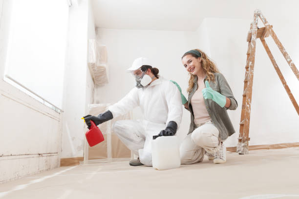 Best Real Estate Mold Inspection  in Dade City North, FL